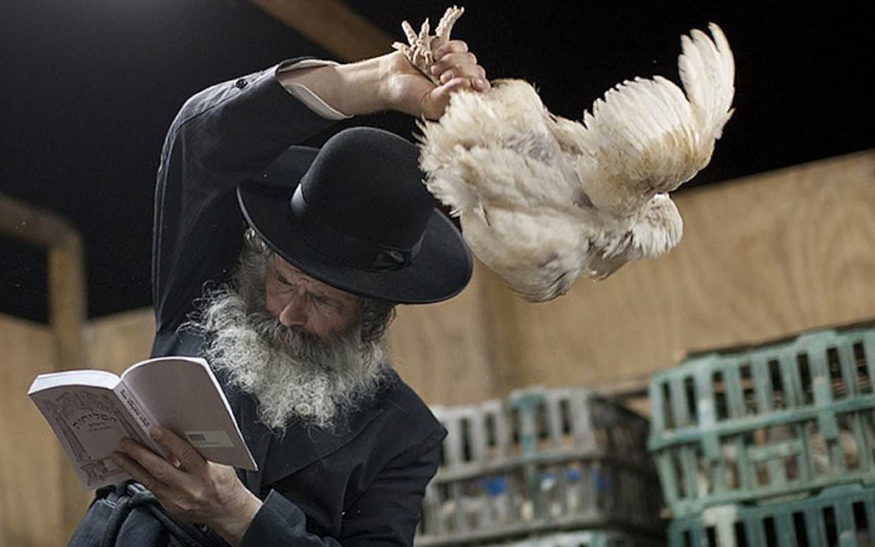 yom kippur chickens